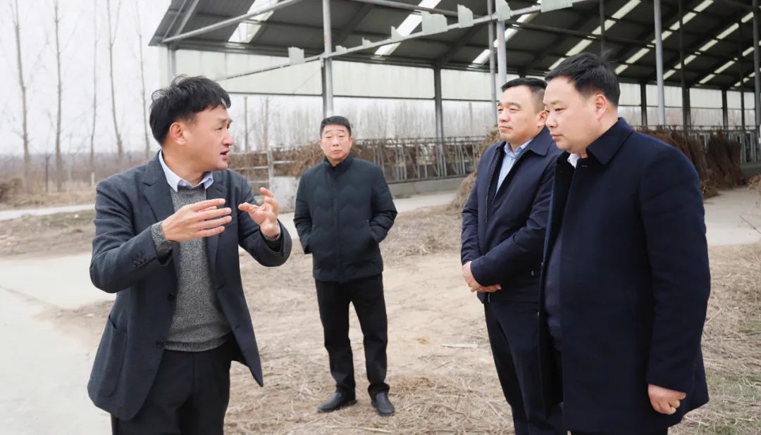 發(fā)揮產(chǎn)業(yè)優(yōu)勢(shì) 助力鄉(xiāng)村振興 | 民權(quán)縣委副書記、縣長(zhǎng)王靜嫻會(huì)見關(guān)曉彥董事長(zhǎng)一行