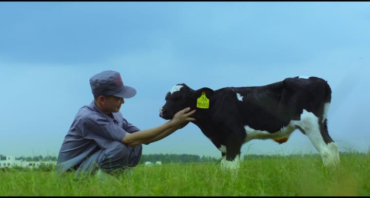 又雙叒叕獲獎啦！花花牛榮獲“乳品質(zhì)量安全管理 優(yōu)秀企業(yè)”