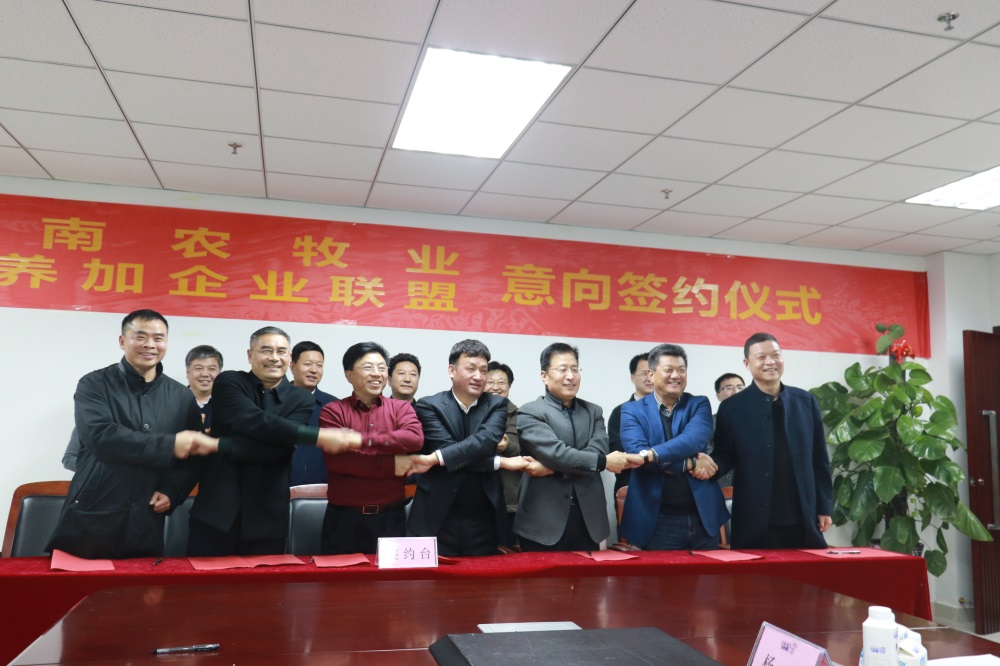 涉農(nóng)企業(yè)強(qiáng)強(qiáng)聯(lián)合，“抱團(tuán)取暖”共迎企業(yè)發(fā)展的春天