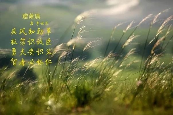 花花牛 | 疾風(fēng)來臨，你是不是勁草？