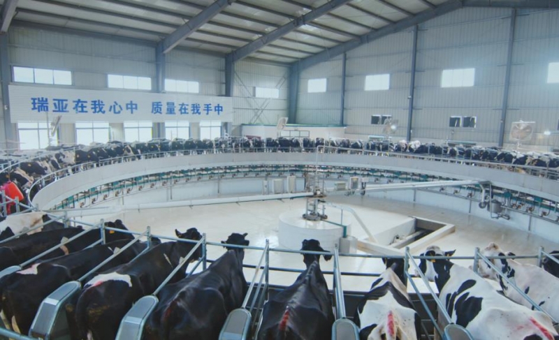 扶溝瑞亞牧業(yè)有限公司年存欄6000頭奶牛養(yǎng)殖建設(shè)項目 環(huán)境影響評價公眾參與第二次公示